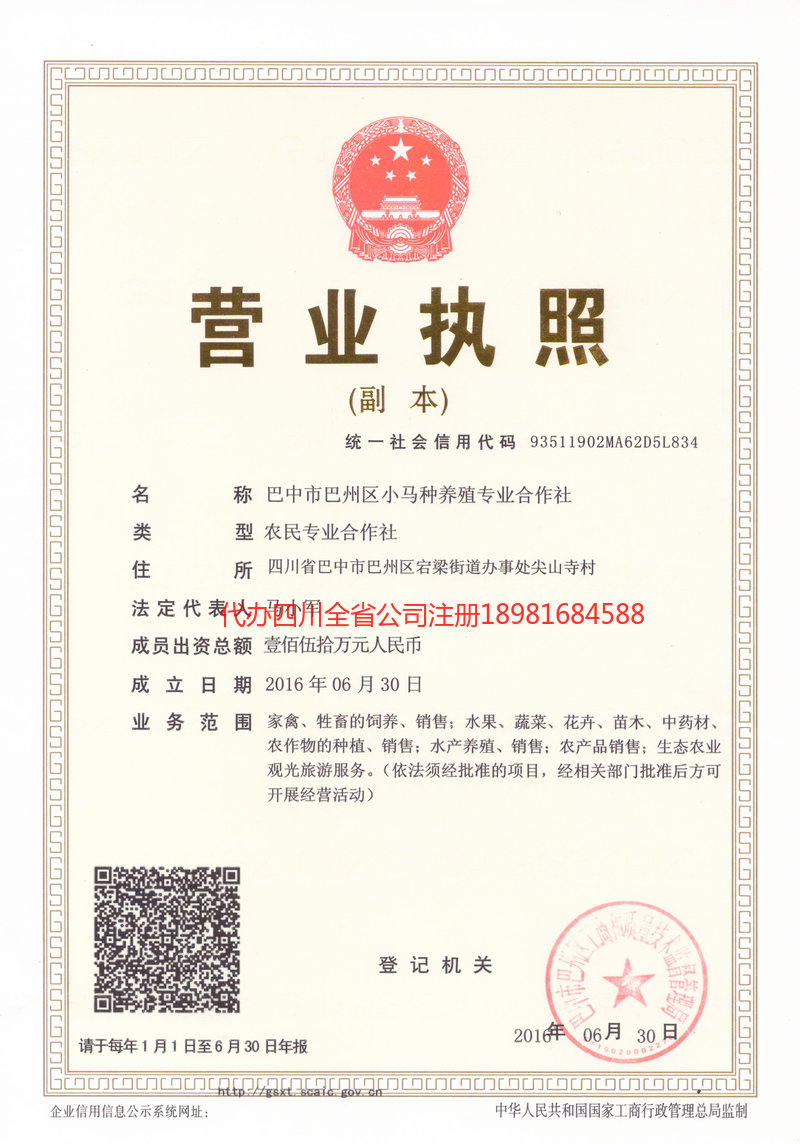 哈密哈密小马种养殖专业合作社